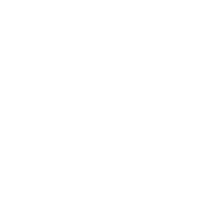 Spectrum Payroll360 Logo